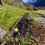 Tatil Evi 4 Bedroom House In Beautiful Oldedalen Stryn