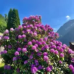 Tatil Evi 4 Bedroom House In Beautiful Oldedalen