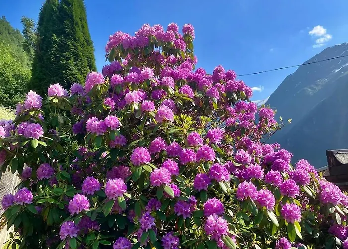 Tatil Evi 4 Bedroom House In Beautiful Oldedalen