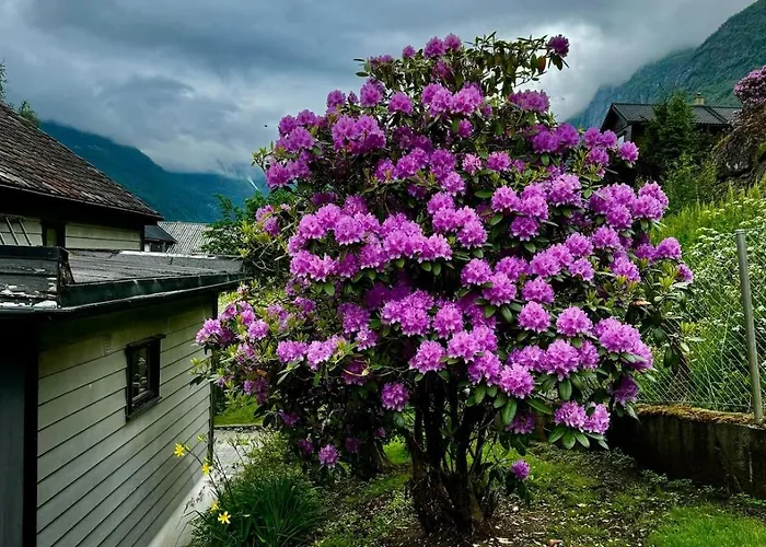 Tatil Evi 4 Bedroom House In Beautiful Oldedalen Stryn